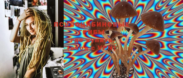 хмурый Богданович